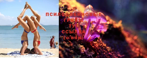 гашик Богородск