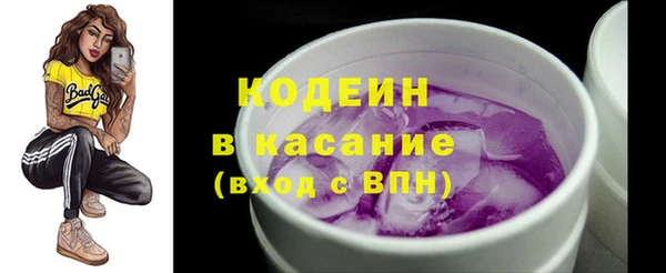 гашик Богородск