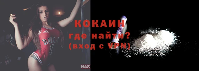дживик Богданович