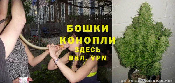 гашик Богородск