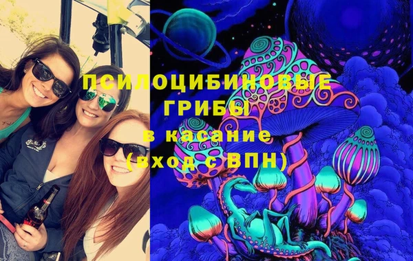 гашик Богородск